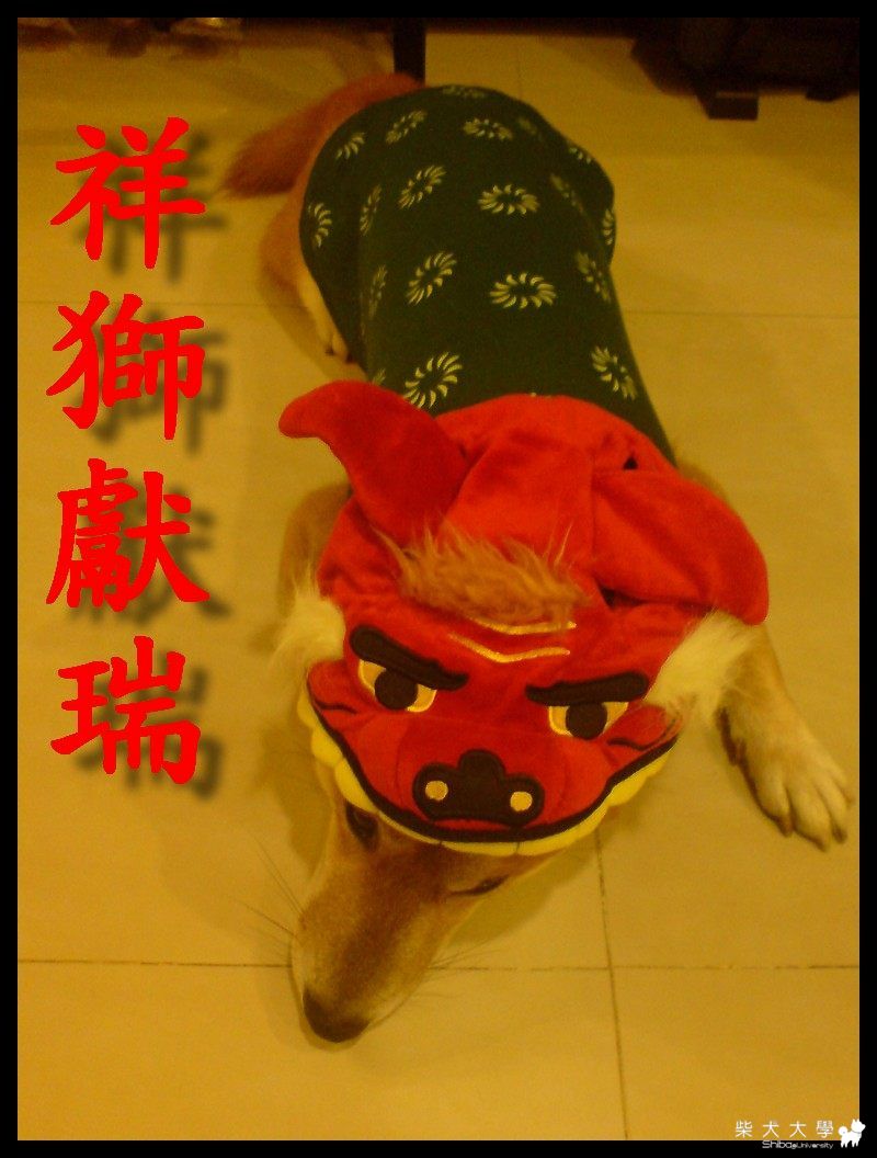 祥"獅"獻瑞(原發表者:寶貝熊)(綜合討論)