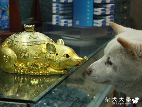 我愛你@@(原發表者:破百家)(綜合討論)