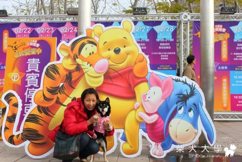 阿爸說出太陽看花燈去(原發表者:娃娃的阿爸)(相簿)