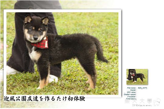 20100220たけ於迎風公園交友初體驗(原發表者:たけ拔麻)(綜合討論)