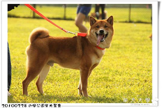 20100228柴大迎風公園相揪(原發表者:たけ拔麻)(相簿)