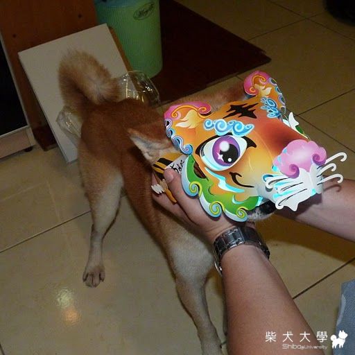 元宵提燈籠囉~(原發表者:ANIGI拔)(綜合討論)
