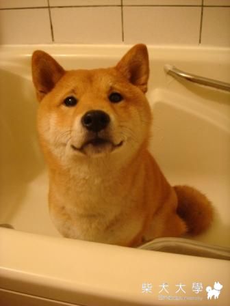 有關眼疾問題(原發表者:皮蛋)(醫療保健)