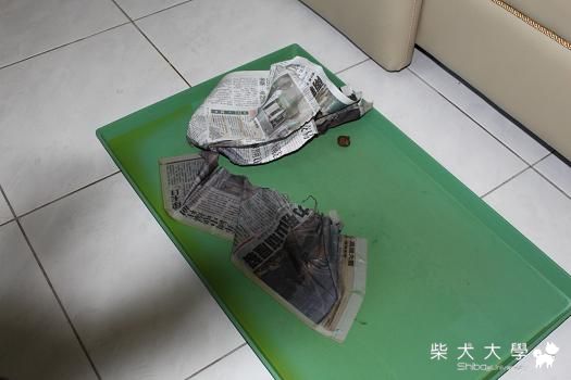 會蓋大便的財財(原發表者:財爸)(綜合討論)