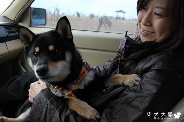 3月10-11大尾台東行(原發表者:大尾仔)(相簿)