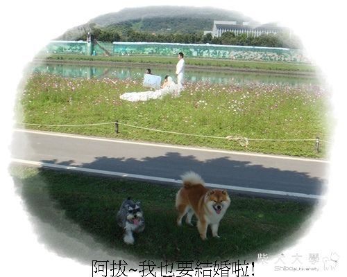 KEN說:.我要結婚啦!(原發表者:KEN家)(綜合討論)