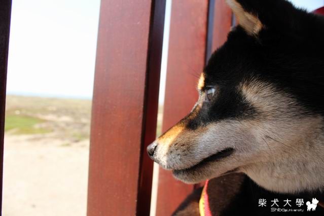 大尾仔的第1次(海)(原發表者:大尾仔)(相簿)