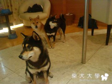 【台南】長榮興汽車旅館(超讚~推推推)(原發表者:寶貝媽咪)(相簿)