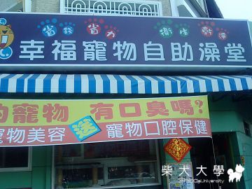 幸福寵物之柴哥新造型!(原發表者:寶貝媽咪)(相簿)