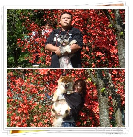 這..畫的像KEN嗎?(原發表者:KEN家)(相簿)