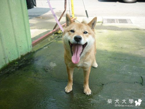 妹妹近照(原發表者:小雪姐)(相簿)