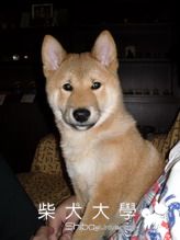 我們要去當咕嚕咕嚕ㄌ。。(原發表者:MiRu媽)(綜合討論)