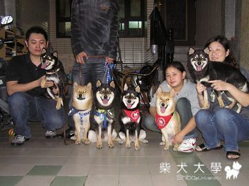 一年後的相聚..(原發表者:寶貝媽咪)(相簿)