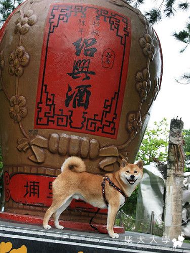 最佳飲品代言人(原發表者:寶貝拔)(相簿)