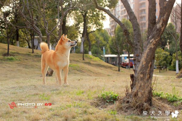 感動ㄋㄟ    ~~~(原發表者:5469)(相簿)