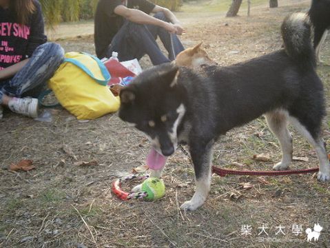 3/20 高雄美術館相揪照(原發表者:Q麻麻)(相簿)