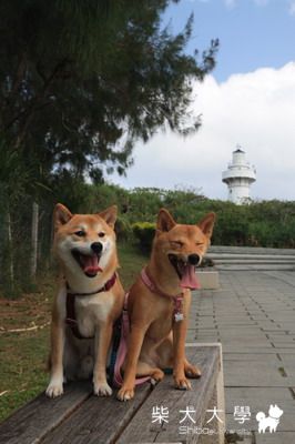 財妹DOBI一起遊墾丁(原發表者:財妹拔拔)(相簿)