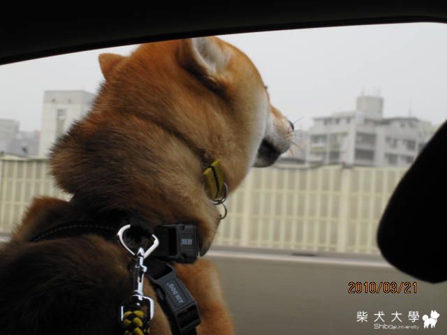 十分寮瀑布半日遊(原發表者:庫奇哥)(相簿)