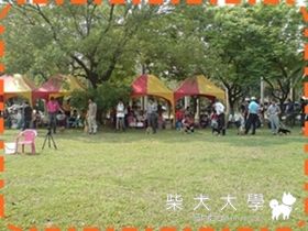 cka第39回側拍(原發表者:溜溜麻)(相簿)