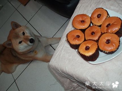 好吃蛋糕~想要咬一口~(原發表者:哆哆麻)(相簿)