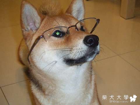 裴勇俊＋Fi教授＝？(原發表者:Fighter爸)(相簿)