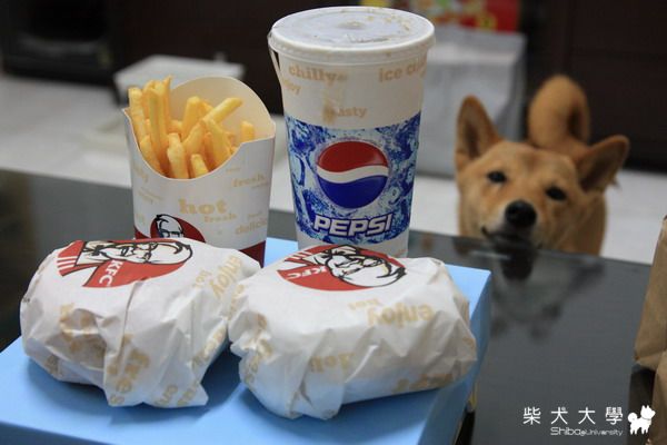 財妹的消夜(原發表者:財妹拔拔)(相簿)