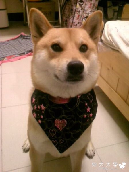 我的新髮型(原發表者:candycute)(相簿)