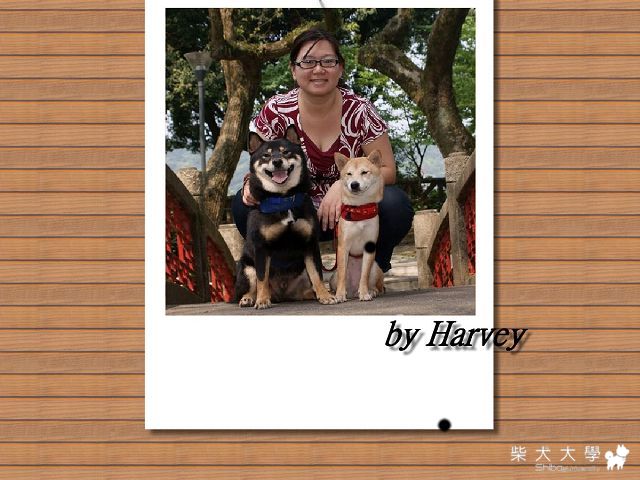 滷哥哇妹趴趴走(原發表者:哇莎蜜家)(相簿)