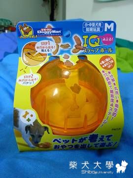 pocky的新玩具(原發表者:pocky老母)(相簿)