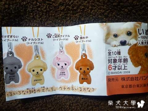 柴柴扭蛋(原發表者:肯尼麻)(相簿)