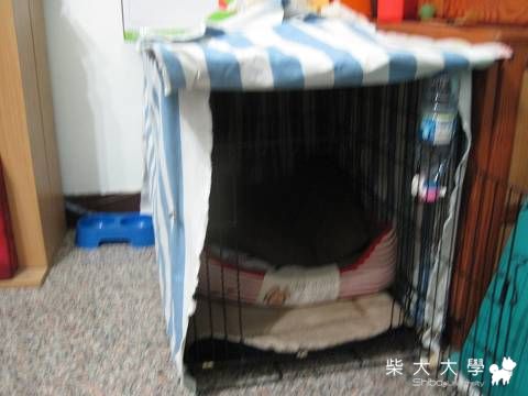 嚕嚕週記之。來嚕麻家的第一個星期(原發表者:肉丸麻)(相簿)