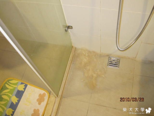 天啊 庫奇 你是毛怪嘛!!!!!(原發表者:庫奇哥)(相簿)