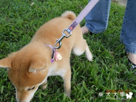 3/27 第一次去迎風(原發表者:chaintai)(相簿)