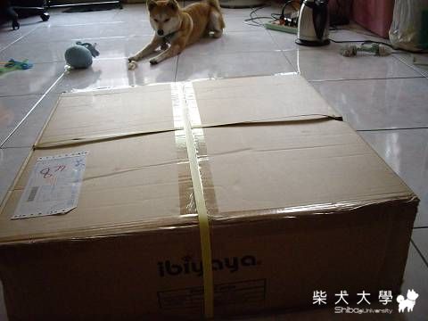 佛恩的城堡-高貴不貴(原發表者:sonny麻)(相簿)