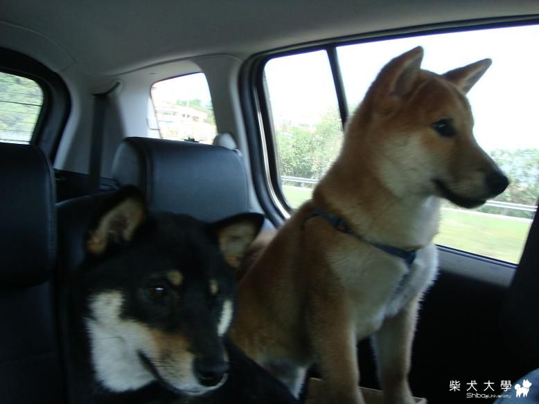 好久不見(原發表者:小蝸牛)(相簿)