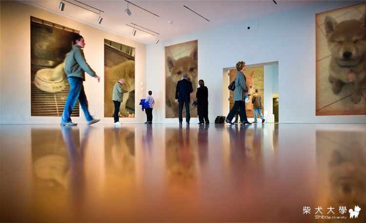 惡搞照片---yoco篇(原發表者:chaintai)(相簿)