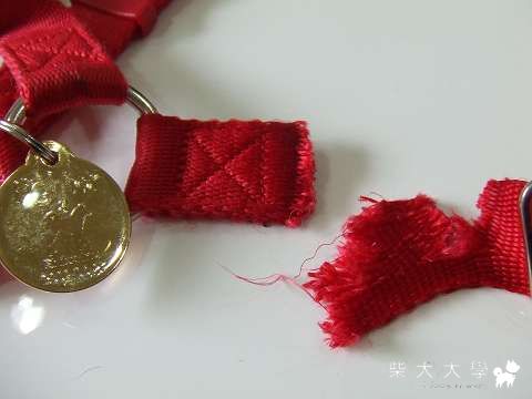 Fighter是賤小孩....(原發表者:Fighter爸)(相簿)