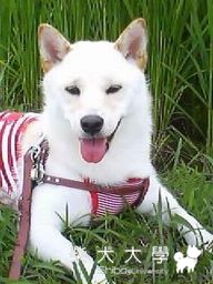 Hi~Happy holidays~(原發表者:Hukr)(相簿)