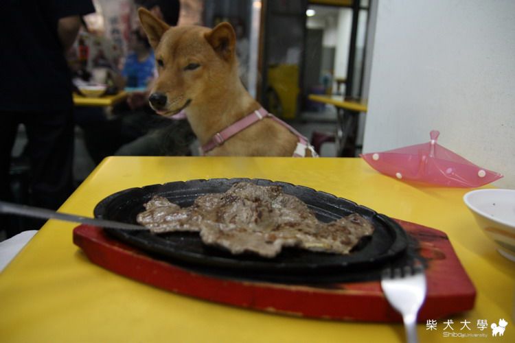 財妹平凡奢華的晚餐(原發表者:財妹拔拔)(相簿)