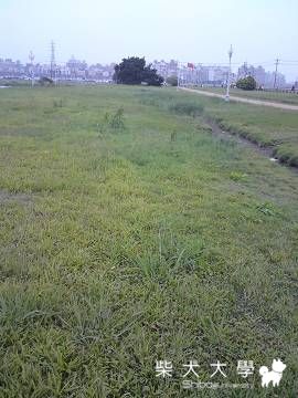 肉丸放風記(原發表者:肉丸麻)(相簿)