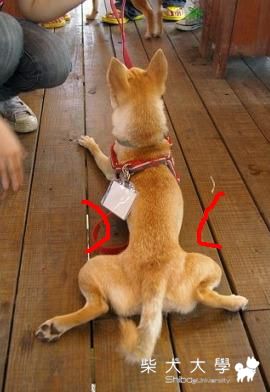 阿糖仔之before&after(原發表者:焦糖麻)(相簿)