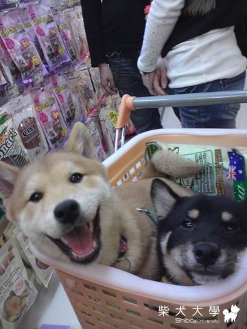 睜一眼閉一眼(原發表者:無)(相簿)