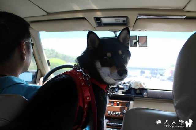 高雄偶遇(原發表者:大尾仔)(相簿)