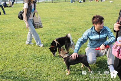 500D開箱嚕！！開心開心~~~(原發表者:金醬麻)(相簿)