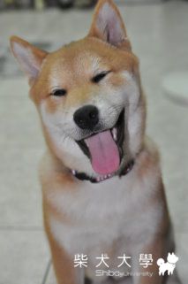 堅強的你(原發表者:nike200634)(相簿)