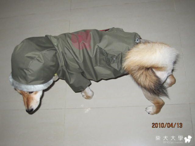 周杰倫 你要去哪裡(原發表者:庫奇哥)(相簿)