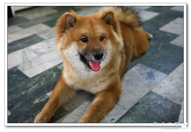 ㄚ肥之好久不見.............(原發表者:even)(相簿)