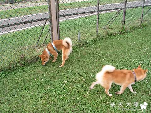 Fighter的迎風初體驗～(原發表者:Fighter爸)(相簿)