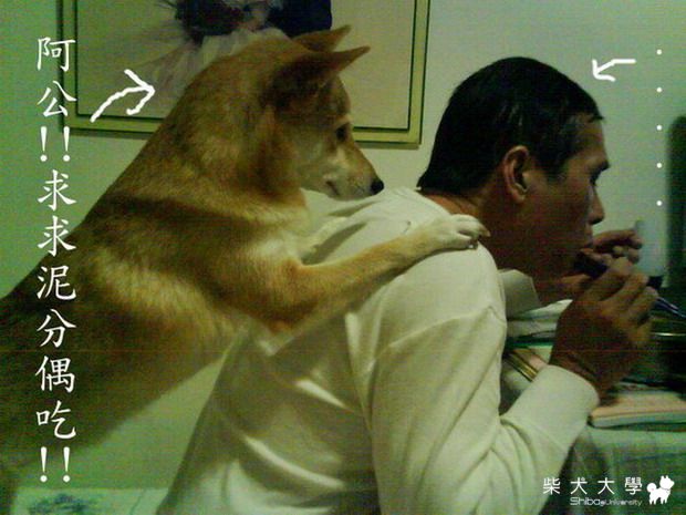 愛吃的讓人哭笑不得!(原發表者:iouniky6888)(相簿)