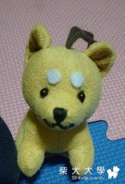 柴柴娃娃(原發表者:肯尼麻)(相簿)